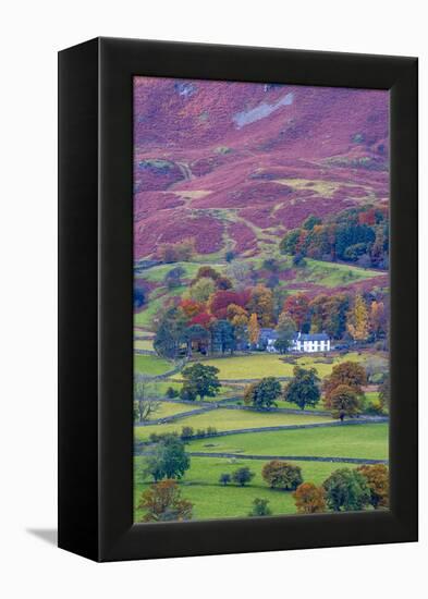 UK, England, Cumbria, Lake District, Borrowdale on south bank of Derwentwater-Alan Copson-Framed Premier Image Canvas