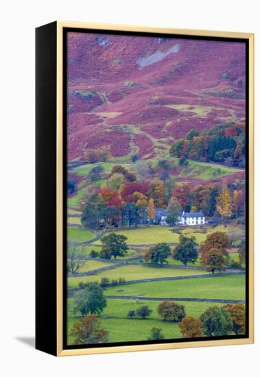 UK, England, Cumbria, Lake District, Borrowdale on south bank of Derwentwater-Alan Copson-Framed Premier Image Canvas