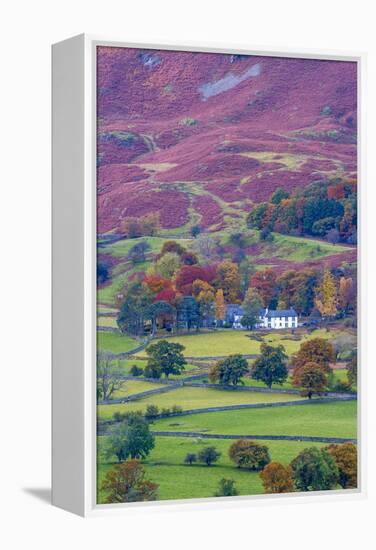 UK, England, Cumbria, Lake District, Borrowdale on south bank of Derwentwater-Alan Copson-Framed Premier Image Canvas