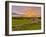 UK, England, Derbyshire, Peak District National Park, River Manifold Valley Near Ilam,Dry Stone Wal-Alan Copson-Framed Photographic Print