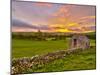 UK, England, Derbyshire, Peak District National Park, River Manifold Valley Near Ilam,Dry Stone Wal-Alan Copson-Mounted Photographic Print