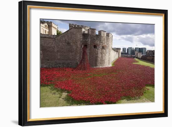 Uk, England, London. Blood Swept Lands and Seas of Red-Katie Garrod-Framed Photographic Print