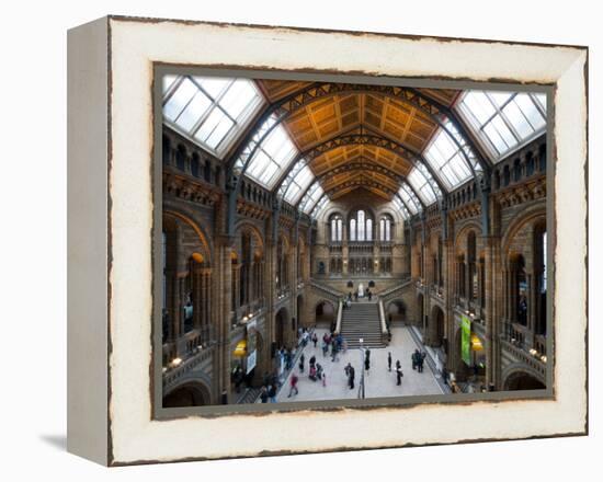 UK, Enlgland, London, South Kensington, Natural History Museum, the Central Hall-Alan Copson-Framed Premier Image Canvas