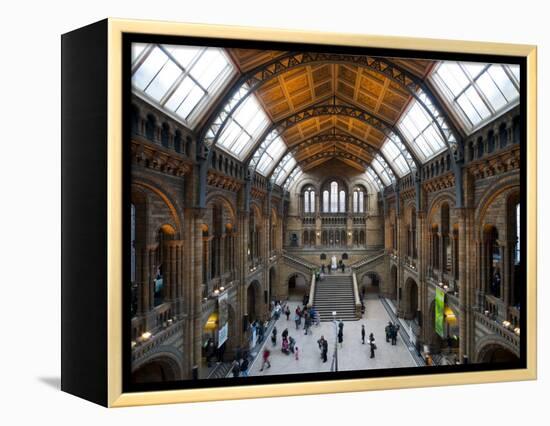 UK, Enlgland, London, South Kensington, Natural History Museum, the Central Hall-Alan Copson-Framed Premier Image Canvas