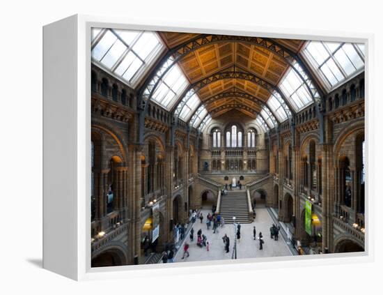 UK, Enlgland, London, South Kensington, Natural History Museum, the Central Hall-Alan Copson-Framed Premier Image Canvas