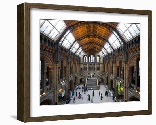 UK, Enlgland, London, South Kensington, Natural History Museum, the Central Hall-Alan Copson-Framed Photographic Print