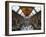 UK, Enlgland, London, South Kensington, Natural History Museum, the Central Hall-Alan Copson-Framed Photographic Print