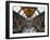 UK, Enlgland, London, South Kensington, Natural History Museum, the Central Hall-Alan Copson-Framed Photographic Print