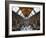 UK, Enlgland, London, South Kensington, Natural History Museum, the Central Hall-Alan Copson-Framed Photographic Print