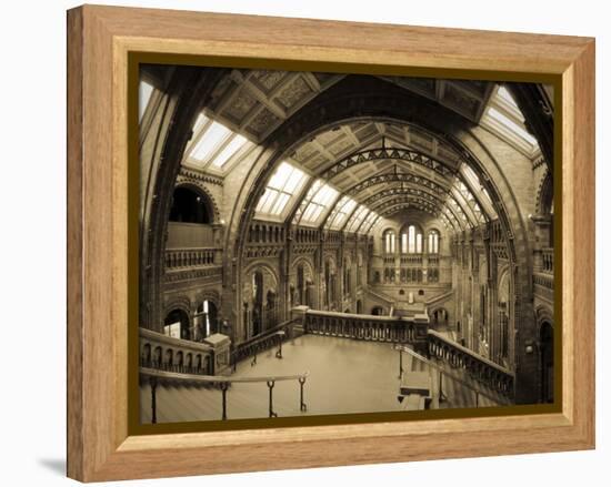 UK, Enlgland, London, South Kensington, Natural History Museum, the Central Hall-Alan Copson-Framed Premier Image Canvas