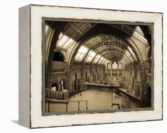 UK, Enlgland, London, South Kensington, Natural History Museum, the Central Hall-Alan Copson-Framed Premier Image Canvas