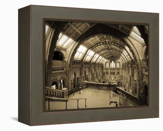 UK, Enlgland, London, South Kensington, Natural History Museum, the Central Hall-Alan Copson-Framed Premier Image Canvas