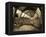 UK, Enlgland, London, South Kensington, Natural History Museum, the Central Hall-Alan Copson-Framed Premier Image Canvas