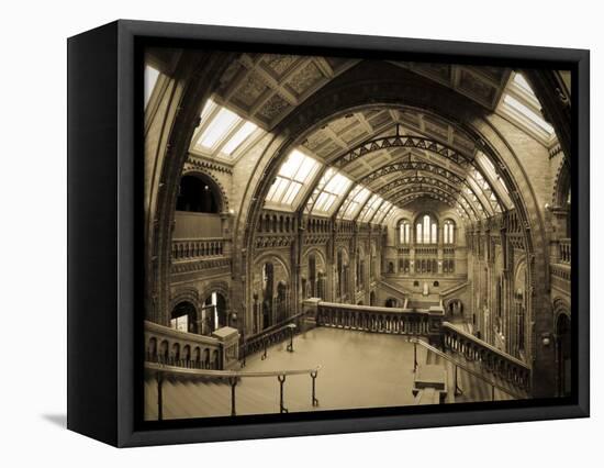 UK, Enlgland, London, South Kensington, Natural History Museum, the Central Hall-Alan Copson-Framed Premier Image Canvas
