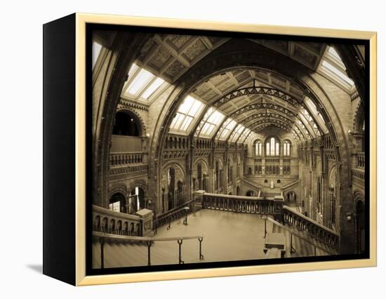 UK, Enlgland, London, South Kensington, Natural History Museum, the Central Hall-Alan Copson-Framed Premier Image Canvas