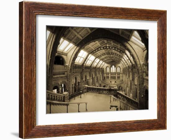 UK, Enlgland, London, South Kensington, Natural History Museum, the Central Hall-Alan Copson-Framed Photographic Print