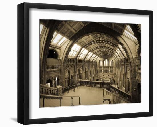 UK, Enlgland, London, South Kensington, Natural History Museum, the Central Hall-Alan Copson-Framed Photographic Print