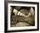 UK, Enlgland, London, South Kensington, Natural History Museum, the Central Hall-Alan Copson-Framed Photographic Print