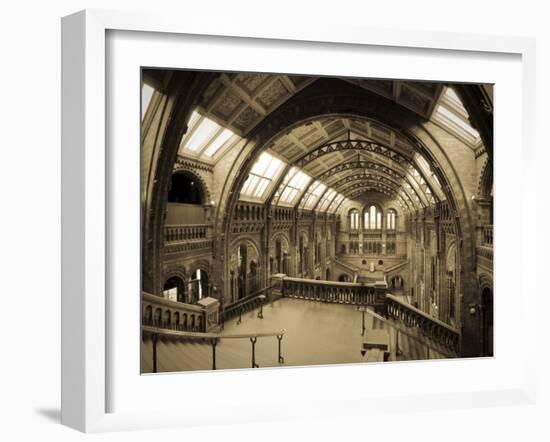 UK, Enlgland, London, South Kensington, Natural History Museum, the Central Hall-Alan Copson-Framed Photographic Print