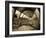 UK, Enlgland, London, South Kensington, Natural History Museum, the Central Hall-Alan Copson-Framed Photographic Print