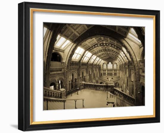 UK, Enlgland, London, South Kensington, Natural History Museum, the Central Hall-Alan Copson-Framed Photographic Print