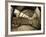 UK, Enlgland, London, South Kensington, Natural History Museum, the Central Hall-Alan Copson-Framed Photographic Print