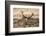 UK, London, Richmond Park. The King's Deer (Red Deer) are native to the UK.-Richard Wright-Framed Photographic Print