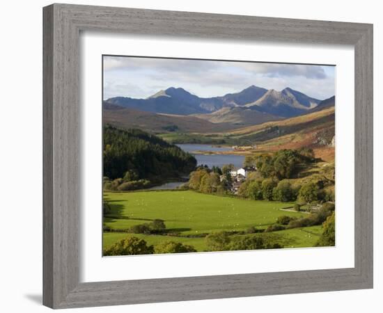 Uk, North Wales, Snowdonia; the Snowdon Horseshoe Rises Above Llyn Mymbr-John Warburton-lee-Framed Photographic Print