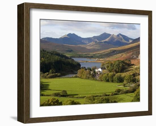 Uk, North Wales, Snowdonia; the Snowdon Horseshoe Rises Above Llyn Mymbr-John Warburton-lee-Framed Photographic Print