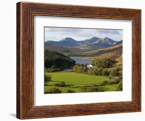 Uk, North Wales, Snowdonia; the Snowdon Horseshoe Rises Above Llyn Mymbr-John Warburton-lee-Framed Photographic Print