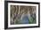 UK, Northern Ireland, County Antrim, Ballymoney, The Dark Hedges, tree lined road, dawn-Walter Bibikw-Framed Photographic Print