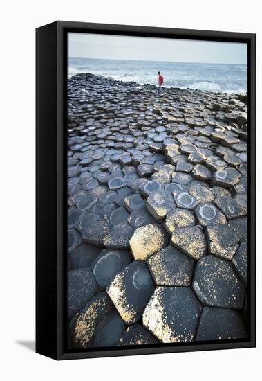 UK, Northern Ireland, County Antrim, Giant's Causeway, Basaltic Prisms-null-Framed Premier Image Canvas