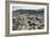 UK, Northern Ireland, County Antrim, Giant's Causeway, Basaltic Prisms-null-Framed Giclee Print