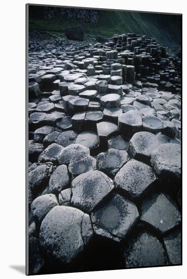 UK, Northern Ireland, County Antrim, Giant's Causeway, Prismatic Basalt Columns-null-Mounted Giclee Print