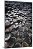 UK, Northern Ireland, County Antrim, Giant's Causeway, Prismatic Basalt Columns-null-Mounted Giclee Print