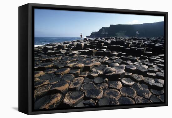 UK, Northern Ireland, County Antrim, Giant's Causeway, Prismatic Basalt Columns-null-Framed Premier Image Canvas