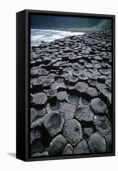 UK, Northern Ireland, County Antrim, Giant's Causeway, Prismatic Basalt Columns-null-Framed Premier Image Canvas