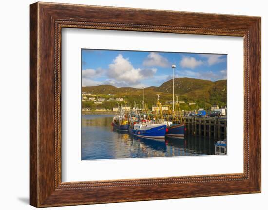 UK, Scotland, Highland, Mallaig-Alan Copson-Framed Photographic Print