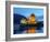 UK, Scotland, Highlands, Dornie, Twilight view of the Eilean Donan Castle.-Karol Kozlowski-Framed Photographic Print