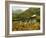 UK, Scotland, Highlands, Jacobite Steam Train crossing the Glenfinnan Viaduct.-Karol Kozlowski-Framed Photographic Print