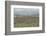 UK, Scotland, Orkney Island, Ring of Brodgar, a ceremonial site dating back to the Neolithic ages e-Rob Tilley-Framed Photographic Print