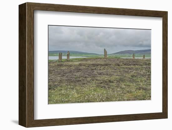 UK, Scotland, Orkney Island, Ring of Brodgar, a ceremonial site dating back to the Neolithic ages e-Rob Tilley-Framed Photographic Print