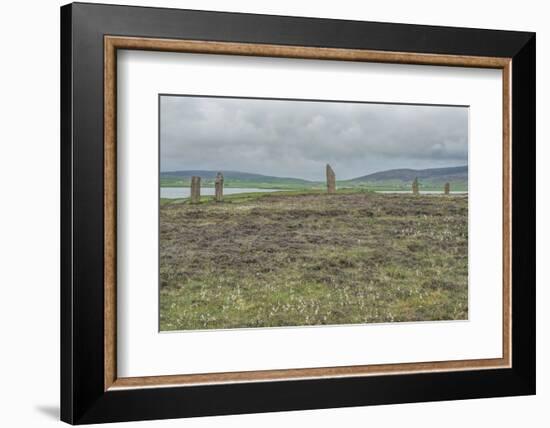 UK, Scotland, Orkney Island, Ring of Brodgar, a ceremonial site dating back to the Neolithic ages e-Rob Tilley-Framed Photographic Print