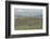 UK, Scotland, Orkney Island, Ring of Brodgar, a ceremonial site dating back to the Neolithic ages e-Rob Tilley-Framed Photographic Print