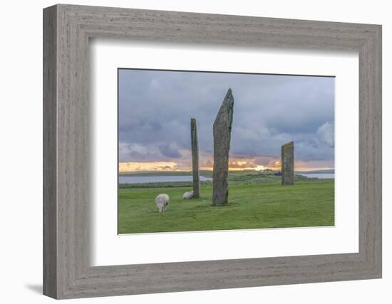 UK, Scotland, Orkney Island, Stones of Stenness, a ceremonial site dating back to the Neolithic age-Rob Tilley-Framed Photographic Print