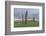 UK, Scotland, Orkney Island, Stones of Stenness, a ceremonial site dating back to the Neolithic age-Rob Tilley-Framed Photographic Print