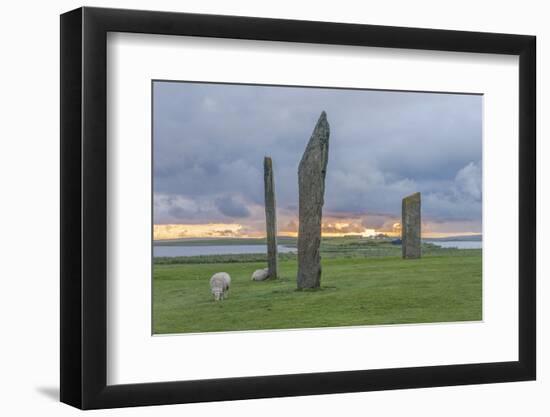 UK, Scotland, Orkney Island, Stones of Stenness, a ceremonial site dating back to the Neolithic age-Rob Tilley-Framed Photographic Print