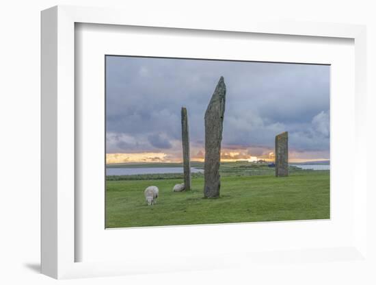 UK, Scotland, Orkney Island, Stones of Stenness, a ceremonial site dating back to the Neolithic age-Rob Tilley-Framed Photographic Print