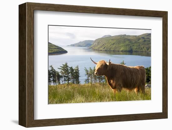 Uk, Scotland, Outer Hebrides-John Warburton-lee-Framed Photographic Print