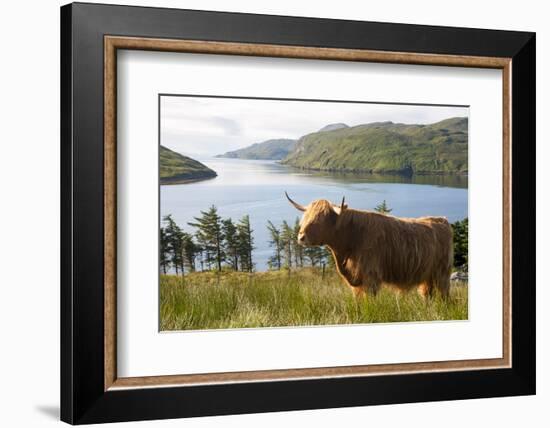 Uk, Scotland, Outer Hebrides-John Warburton-lee-Framed Photographic Print